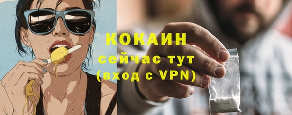 каннабис Новозыбков