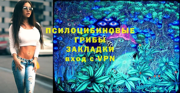 индика Алзамай