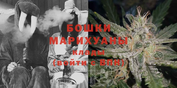 индика Алзамай