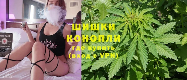 индика Алзамай