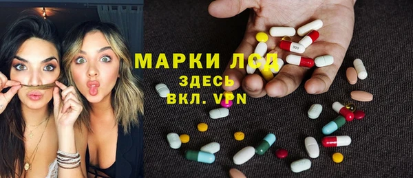 индика Алзамай
