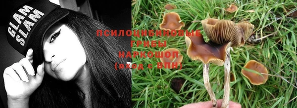 МДПВ Белая Холуница