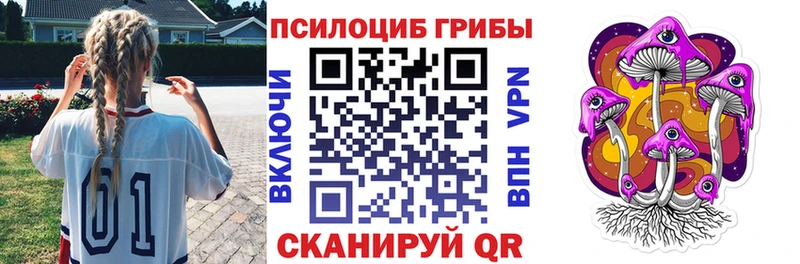 Псилоцибиновые грибы Cubensis  Себеж 